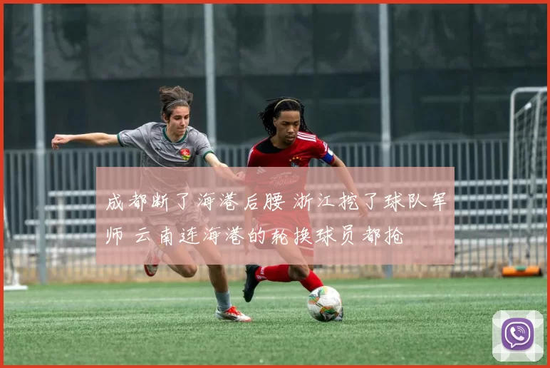 成都断了海港后腰 浙江挖了球队军师 云南连海港的轮换球员都抢