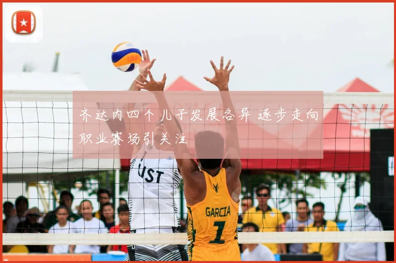 齐达内四个儿子发展各异 逐步走向职业赛场引关注